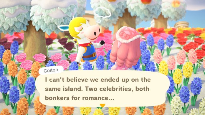 A screenshot from Animal Crossing New Horizons.